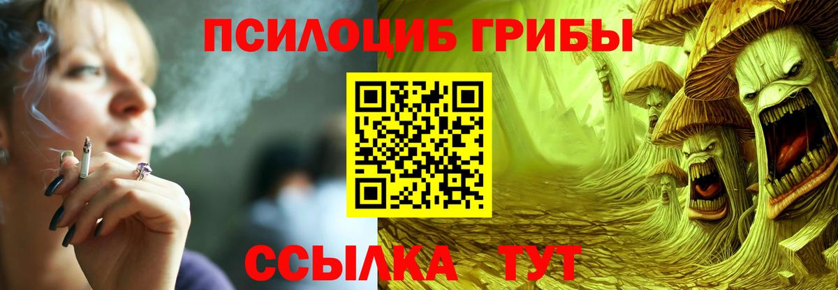 Псилоцибиновые грибы Cubensis  Вход с VPN  Анжеро-Судженск 