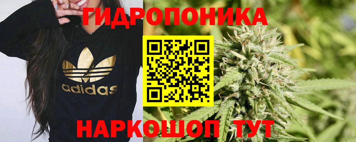 Марихуана MAZAR  МАРИХУАНА Bruce Banner  Анжеро-Судженск  Бошки Шишки VHQ  Конопля OG Kush  Вход с VPN 